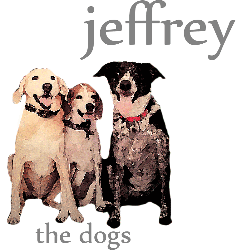 jeffjoers.com link to the dogs by jeffrey joers